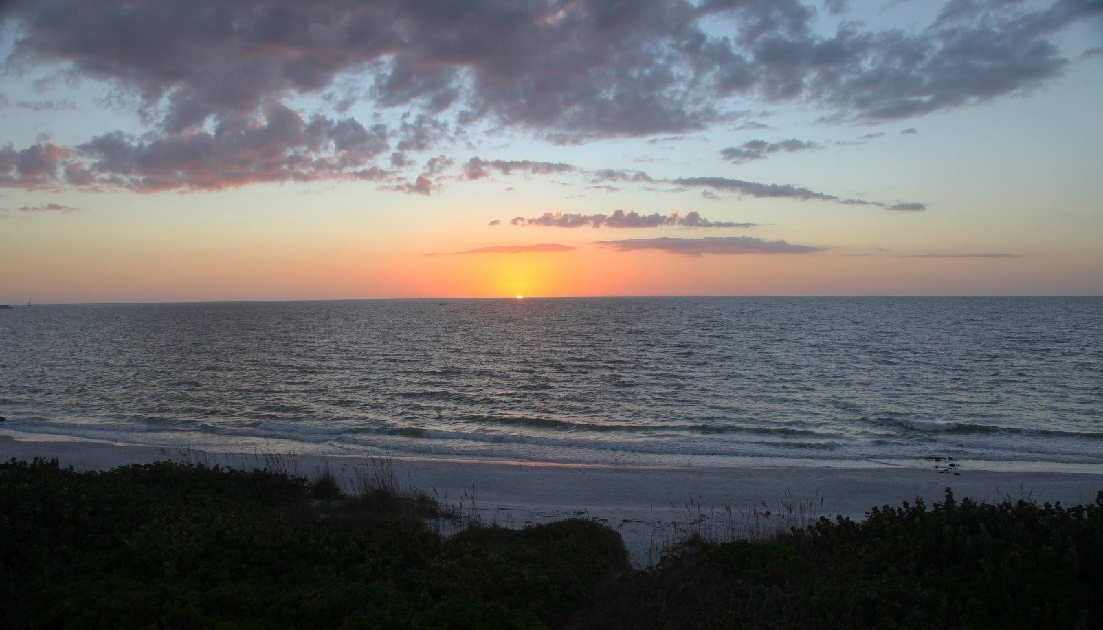 Park Shore Ocean View
